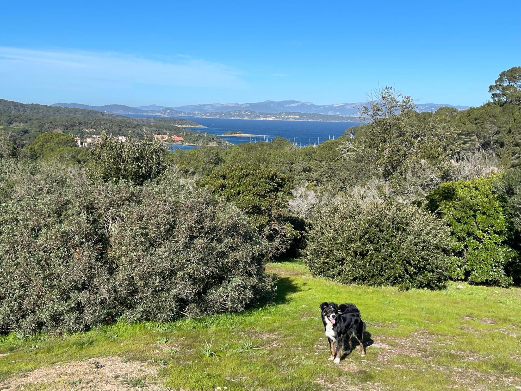 Latitudes 43 Διαμέρισμα Πορκερόλ Εξωτερικό φωτογραφία