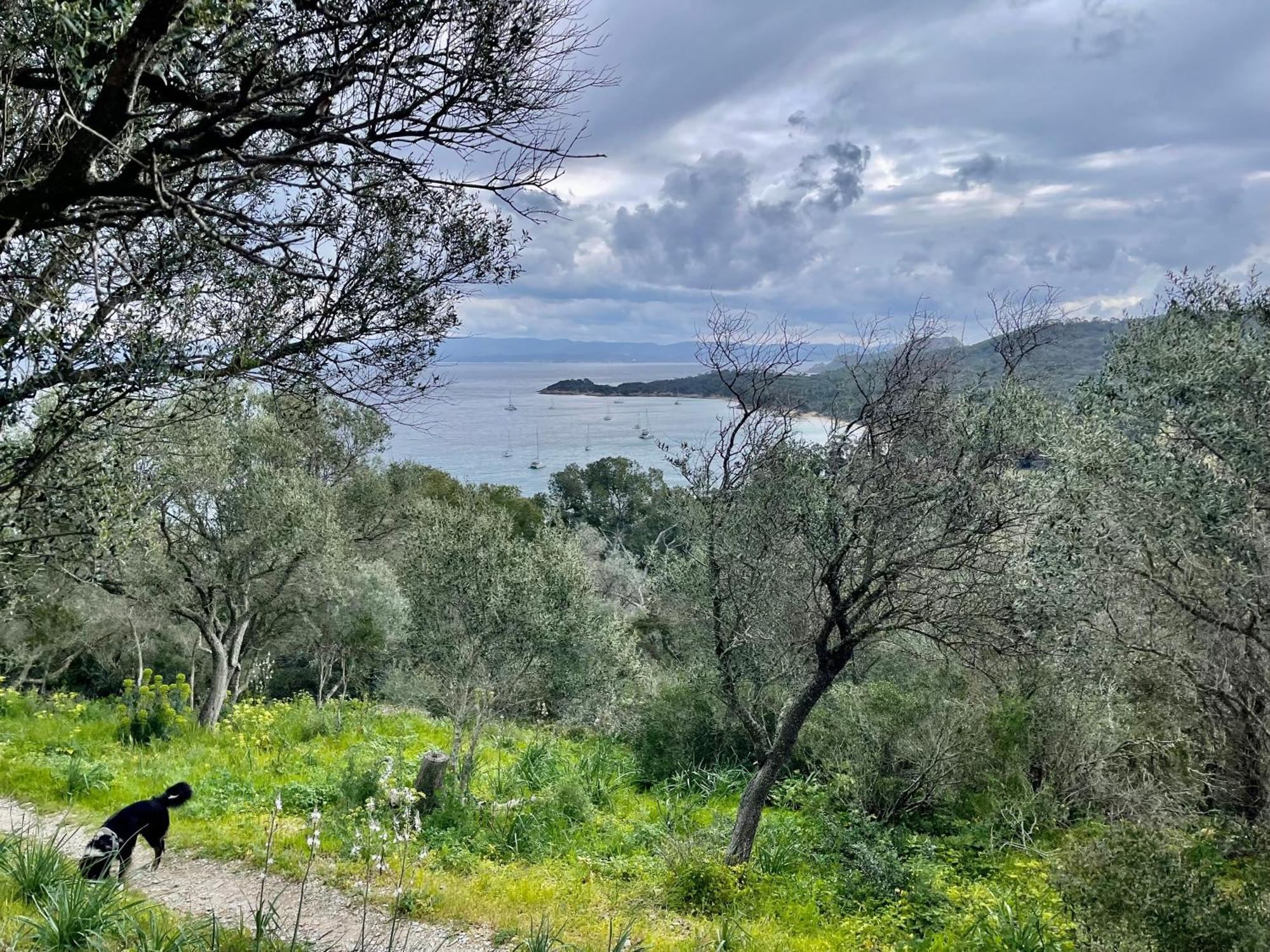 Latitudes 43 Διαμέρισμα Πορκερόλ Εξωτερικό φωτογραφία