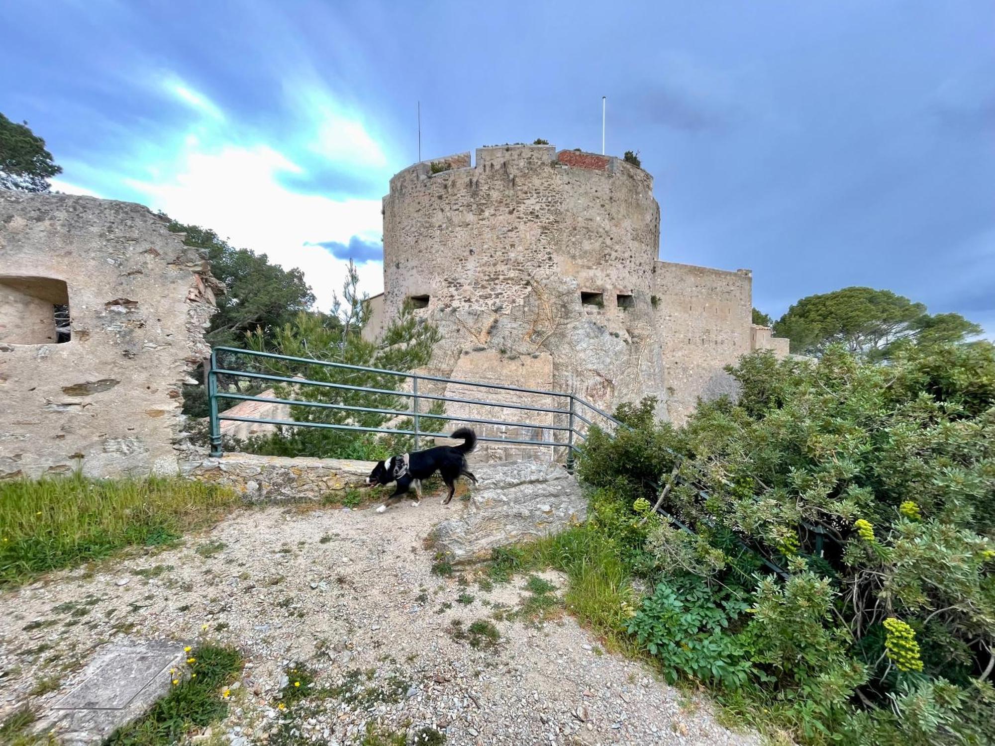Latitudes 43 Διαμέρισμα Πορκερόλ Εξωτερικό φωτογραφία
